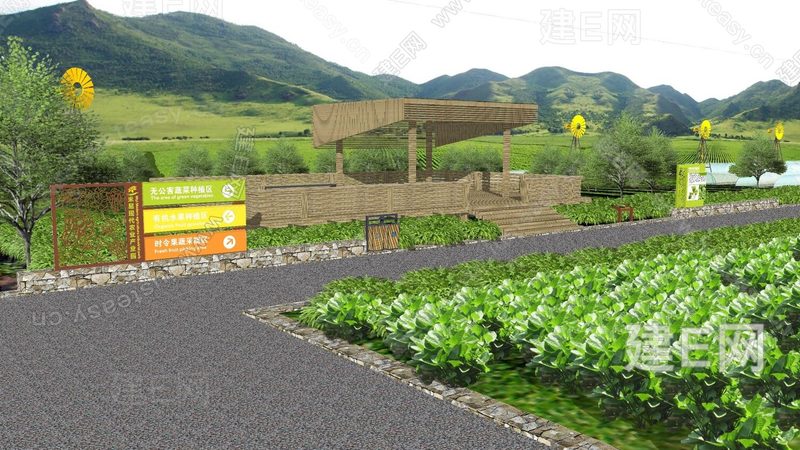 有机蔬菜批发价格揭秘：厂家直供背后的真相