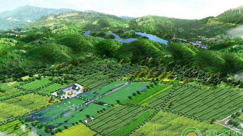 绿色食品认证费用标准2025：了解费用构成与趋势