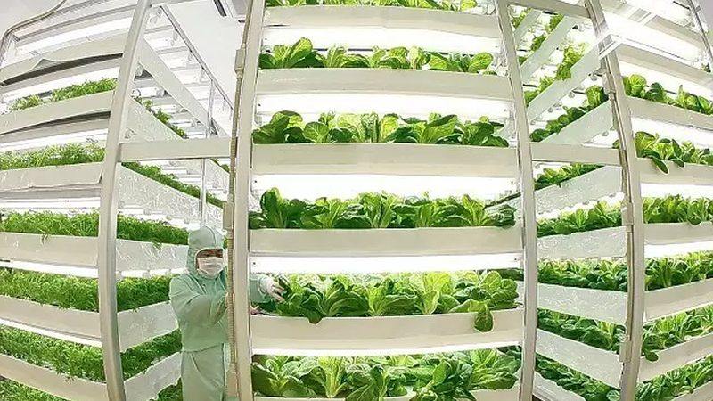 合作社注销需要什么材料