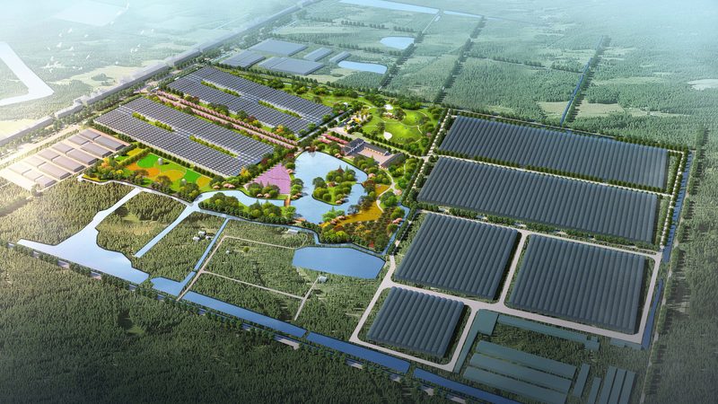 上海果蔬配送公司报价明细：揭秘背后的行业逻辑