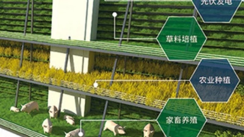 排水不畅的田块，种什么都白费力气