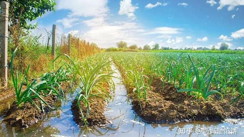 四川农业技术推广站：如何高效联系与沟通**