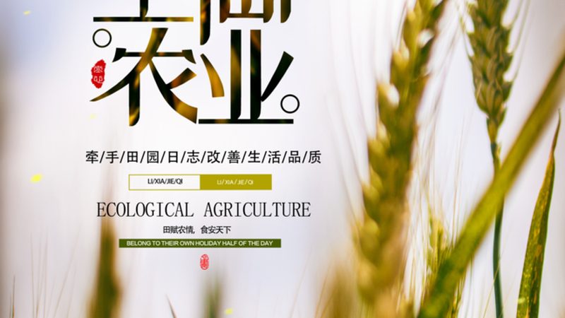 农村农产品批发创业，如何抓住市场脉搏？**
